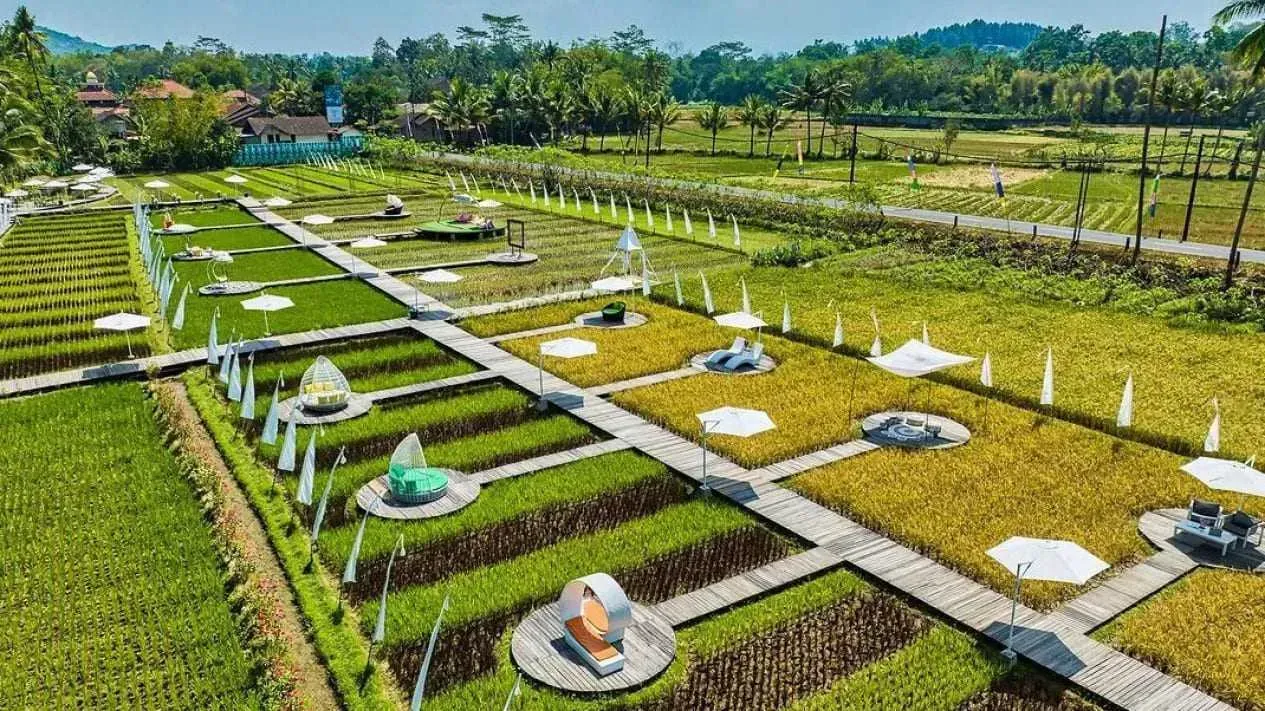 VW klasik di Borobudur